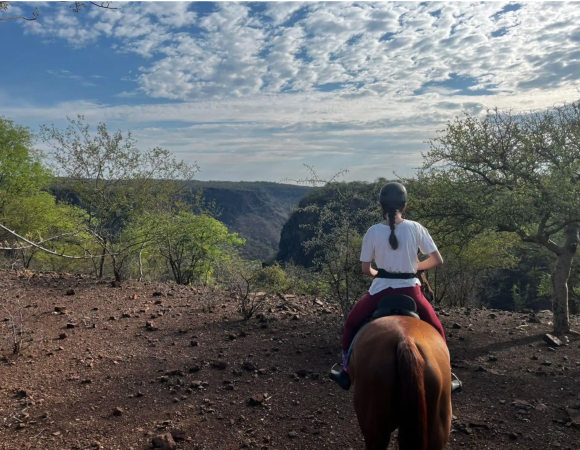 Horse Riding