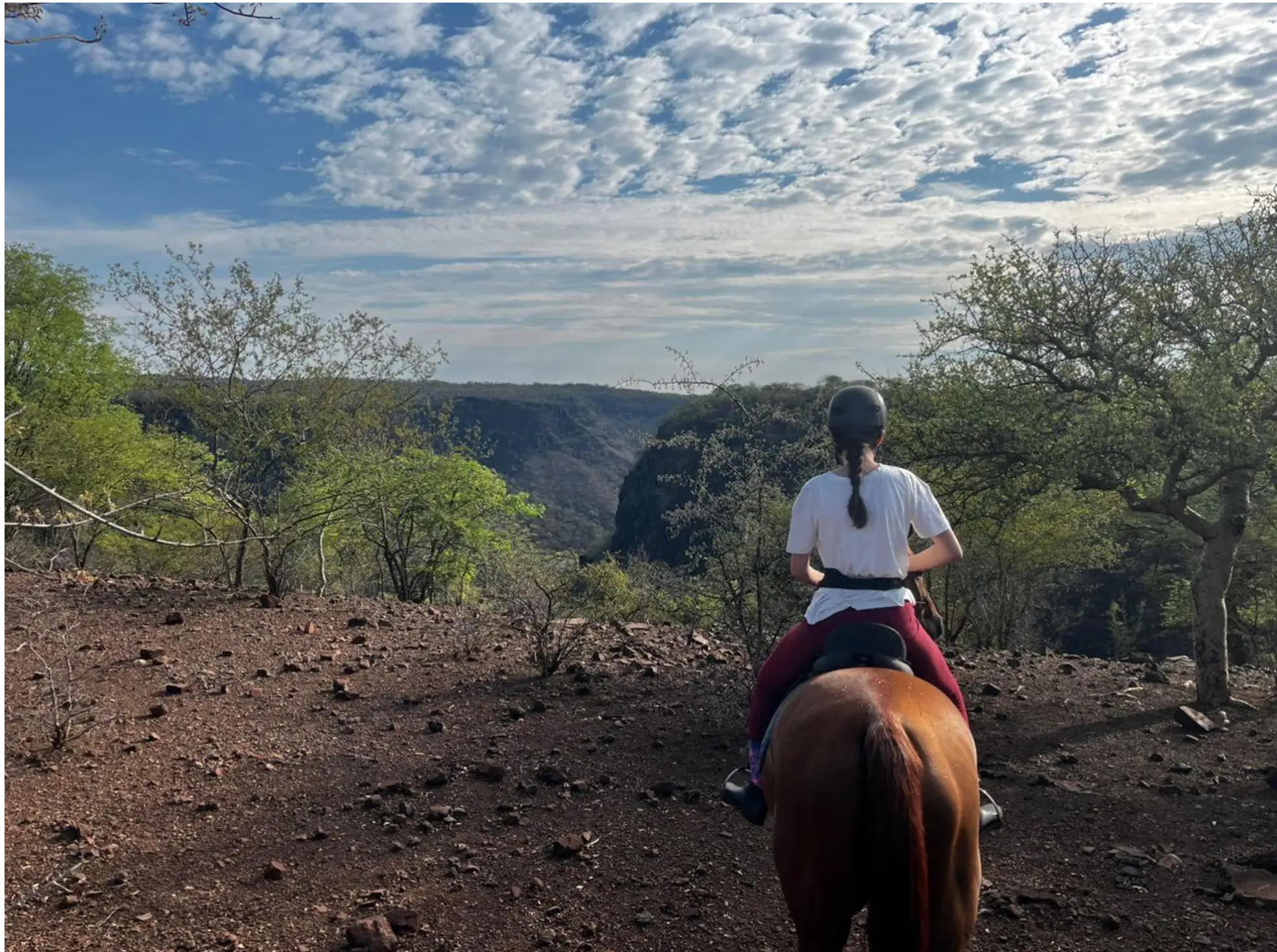 Horse Riding